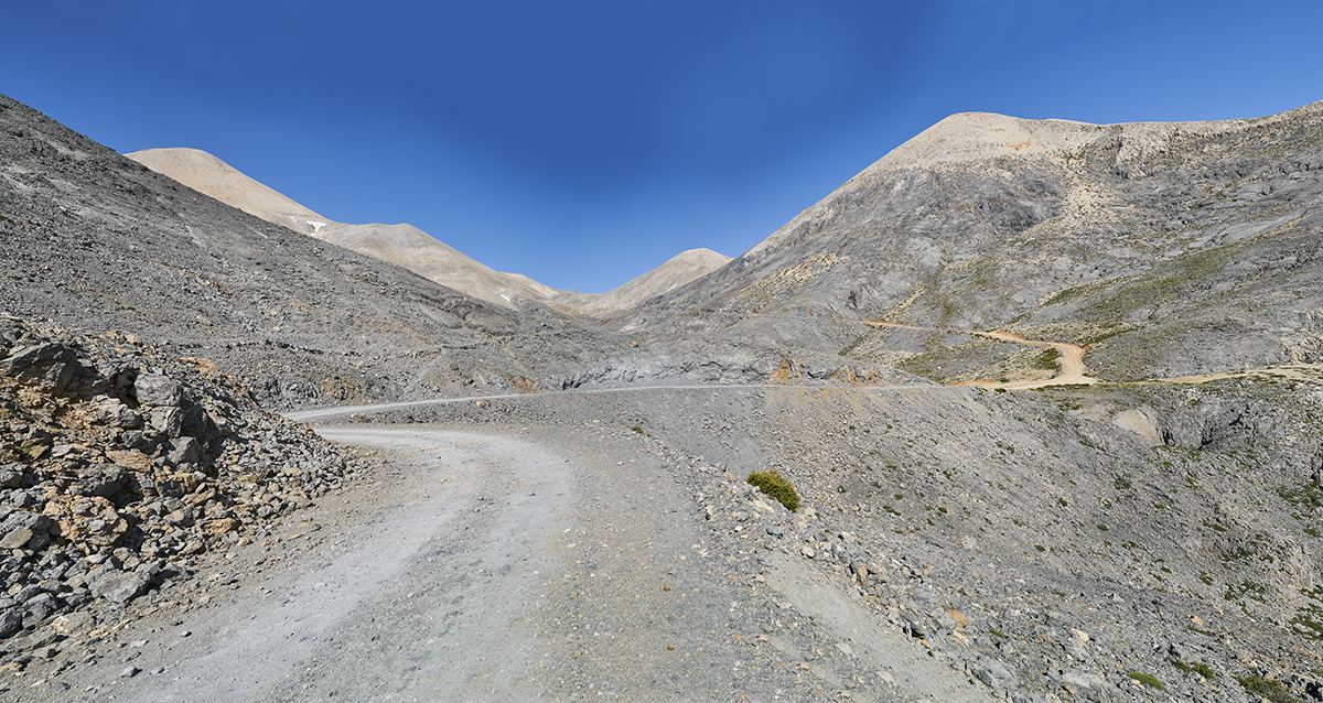 Oberhalb von ca. 1800m Höhe sind sie kahl